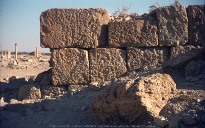 Palmyra City Wall